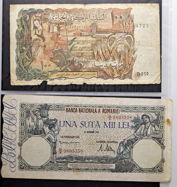 Immagine aggiuntiva 2