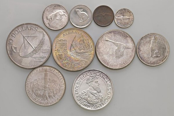 Immagine aggiuntiva 6