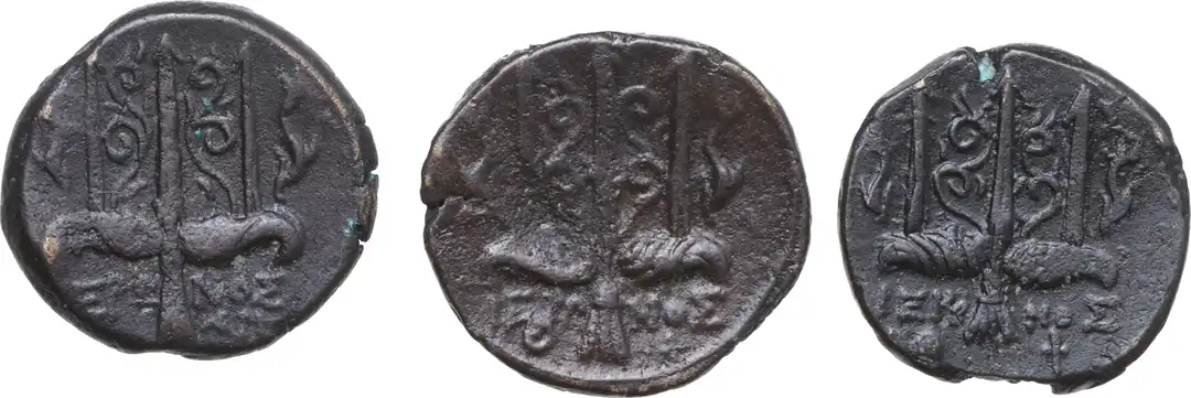 Rovescio moneta