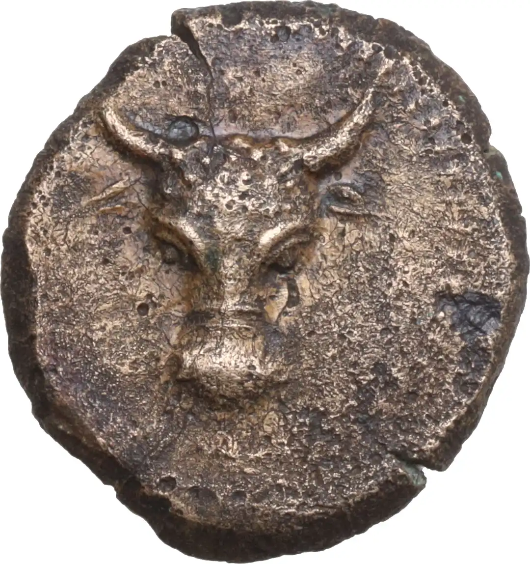 Dritto moneta