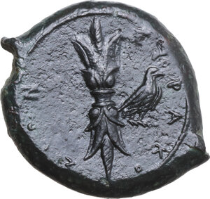 Reverse image