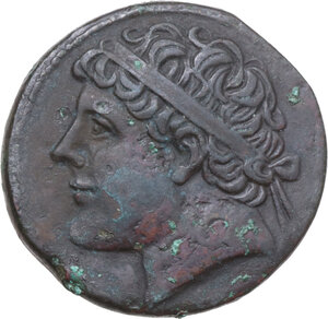 lot 126