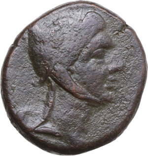 lot 159