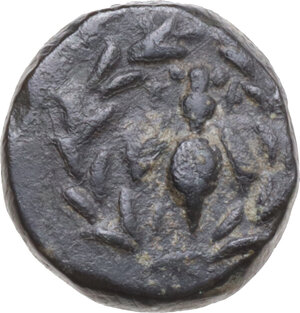 lot 163