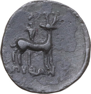 lot 163