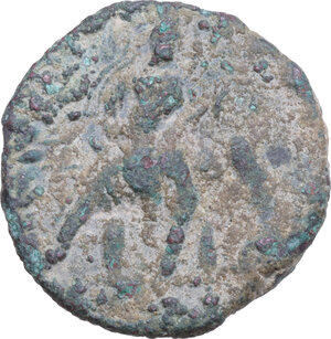 lot 206