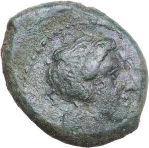 lot 219