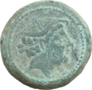 lot 224