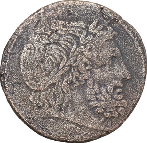 lot 229