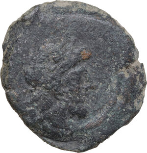lot 237