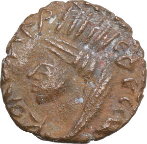 lot 486