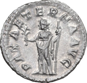 lot 492