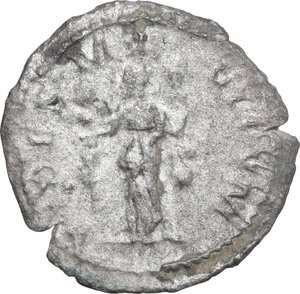 lot 511