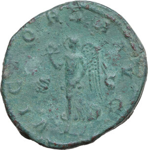 lot 517
