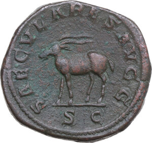 lot 525