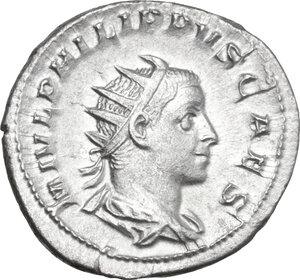 lot 531