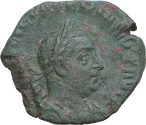 lot 556