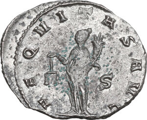 lot 559