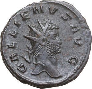lot 560