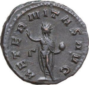 lot 560