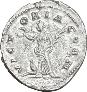 lot 561