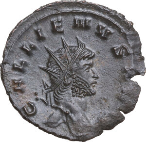 lot 562