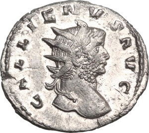lot 564