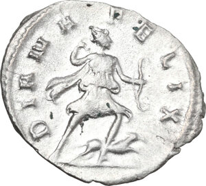 lot 566