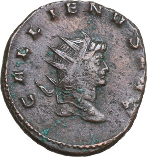 lot 568