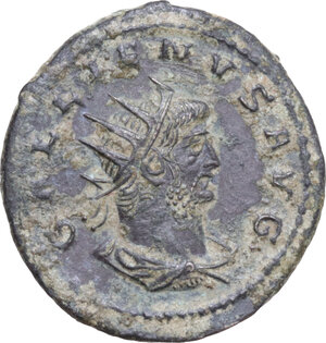 lot 569