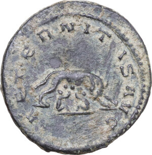 lot 569