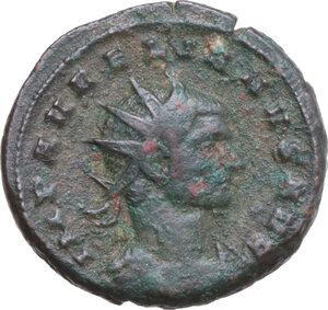 lot 581
