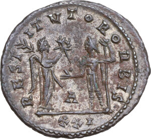 lot 584