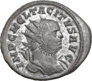 lot 590
