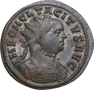 lot 591