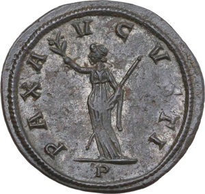 lot 591