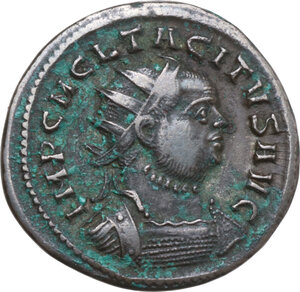 lot 592