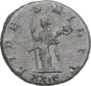 lot 594