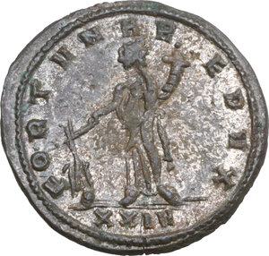 lot 595