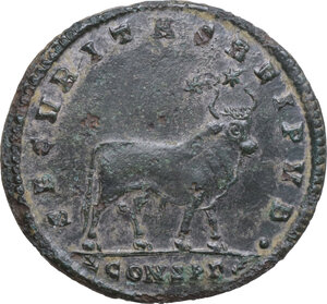 lot 629