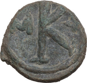 lot 646