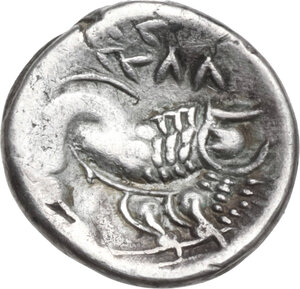 Reverse image