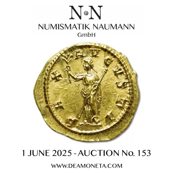 Naumann 153