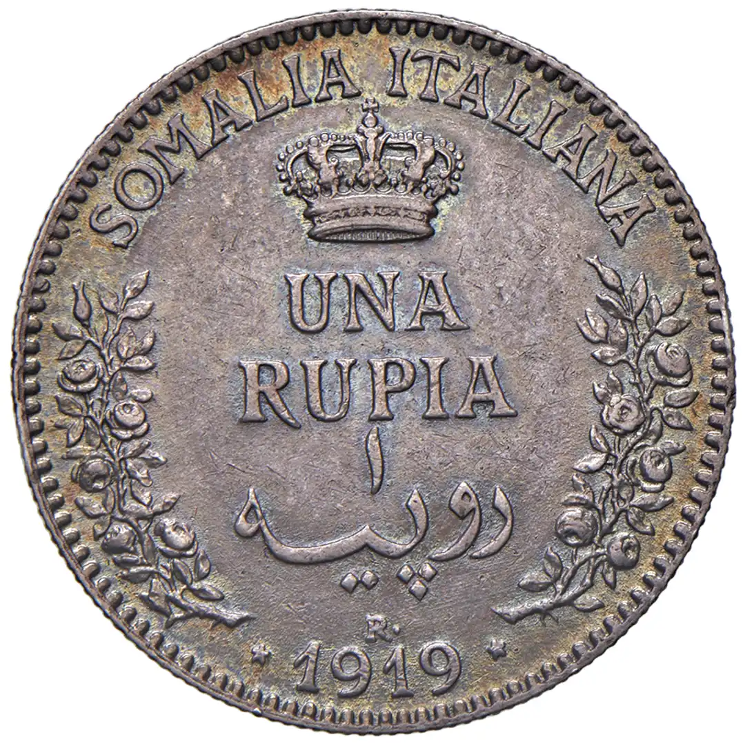 Rovescio moneta