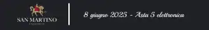 Banner San Martino Asta 5 elettronica