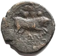 Reverse image