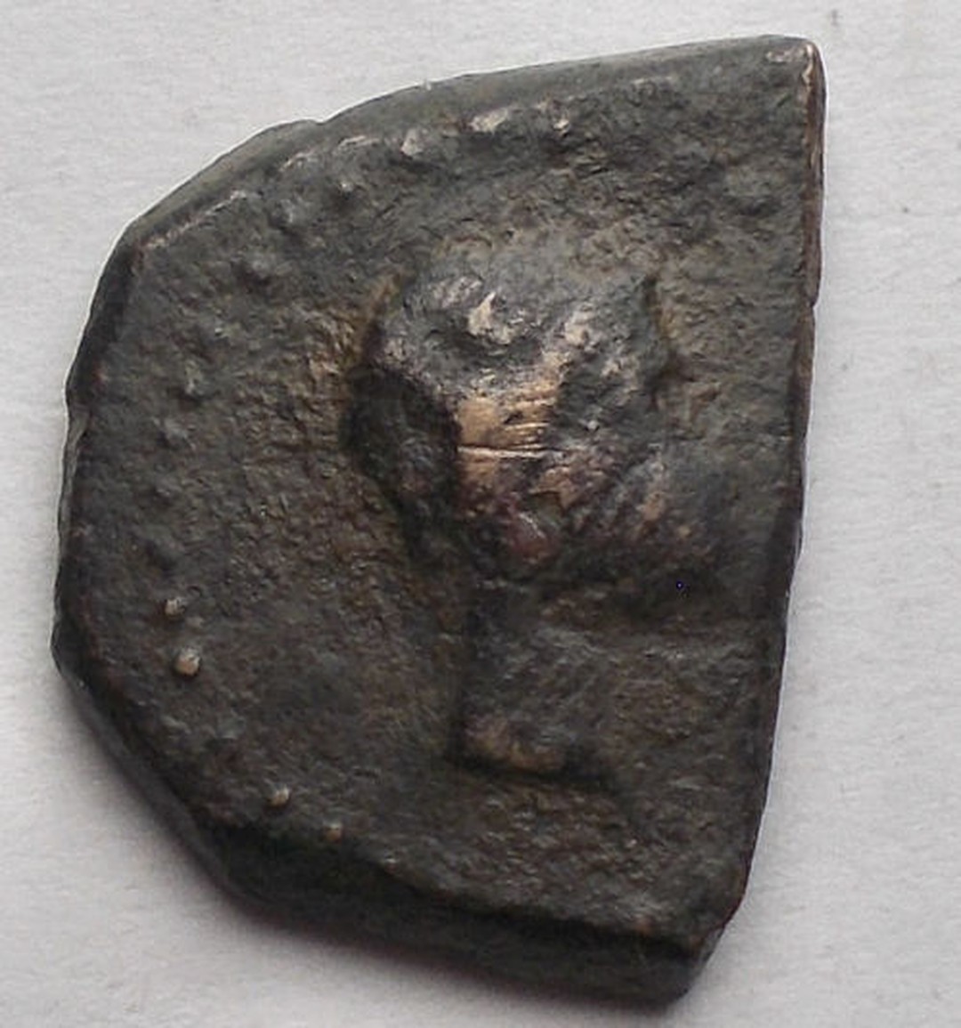 Immagine aggiuntiva 1