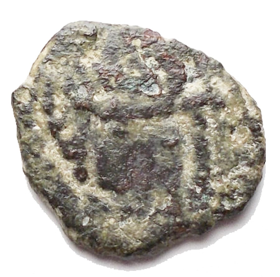 Dritto moneta