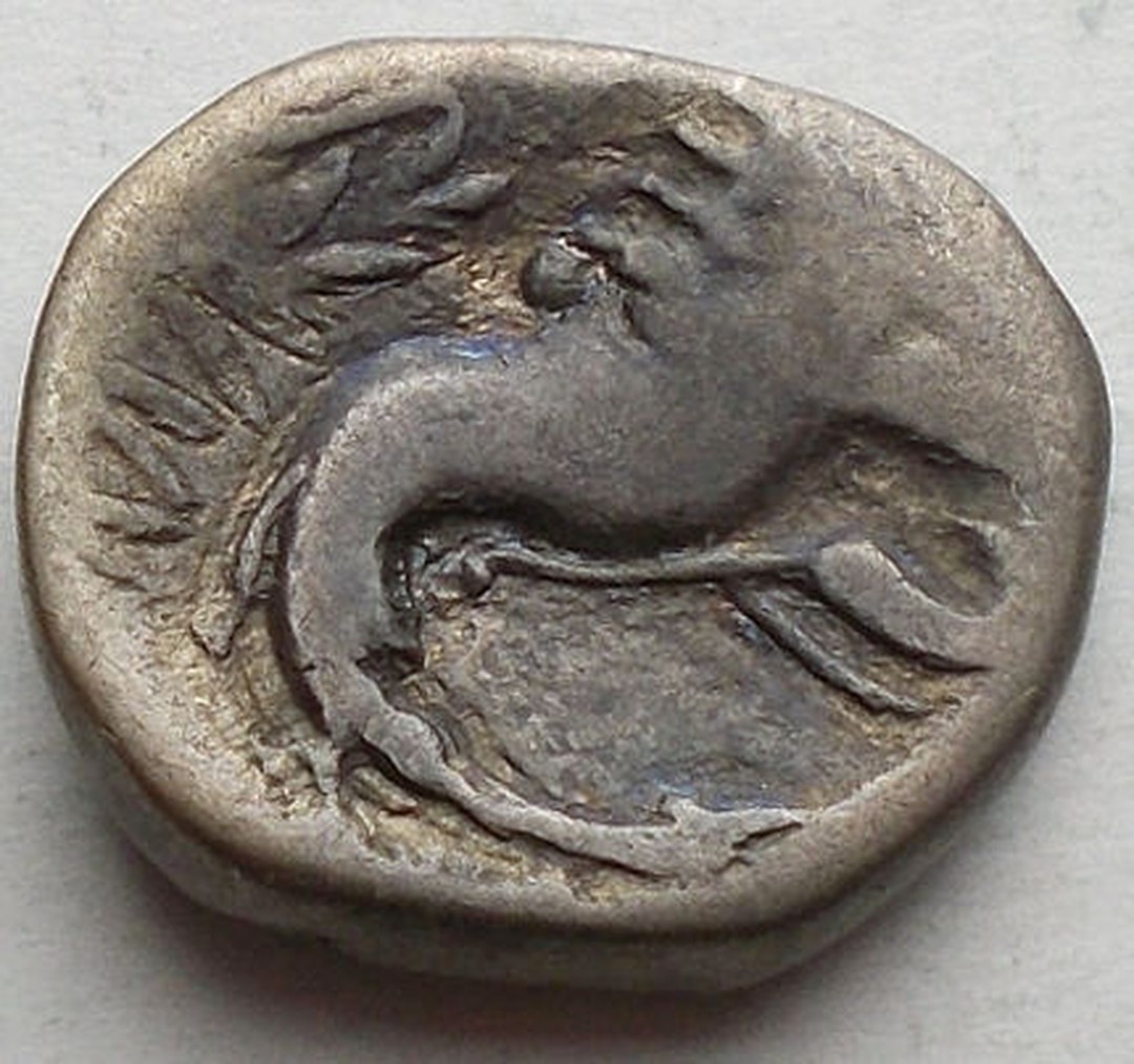 Rovescio moneta