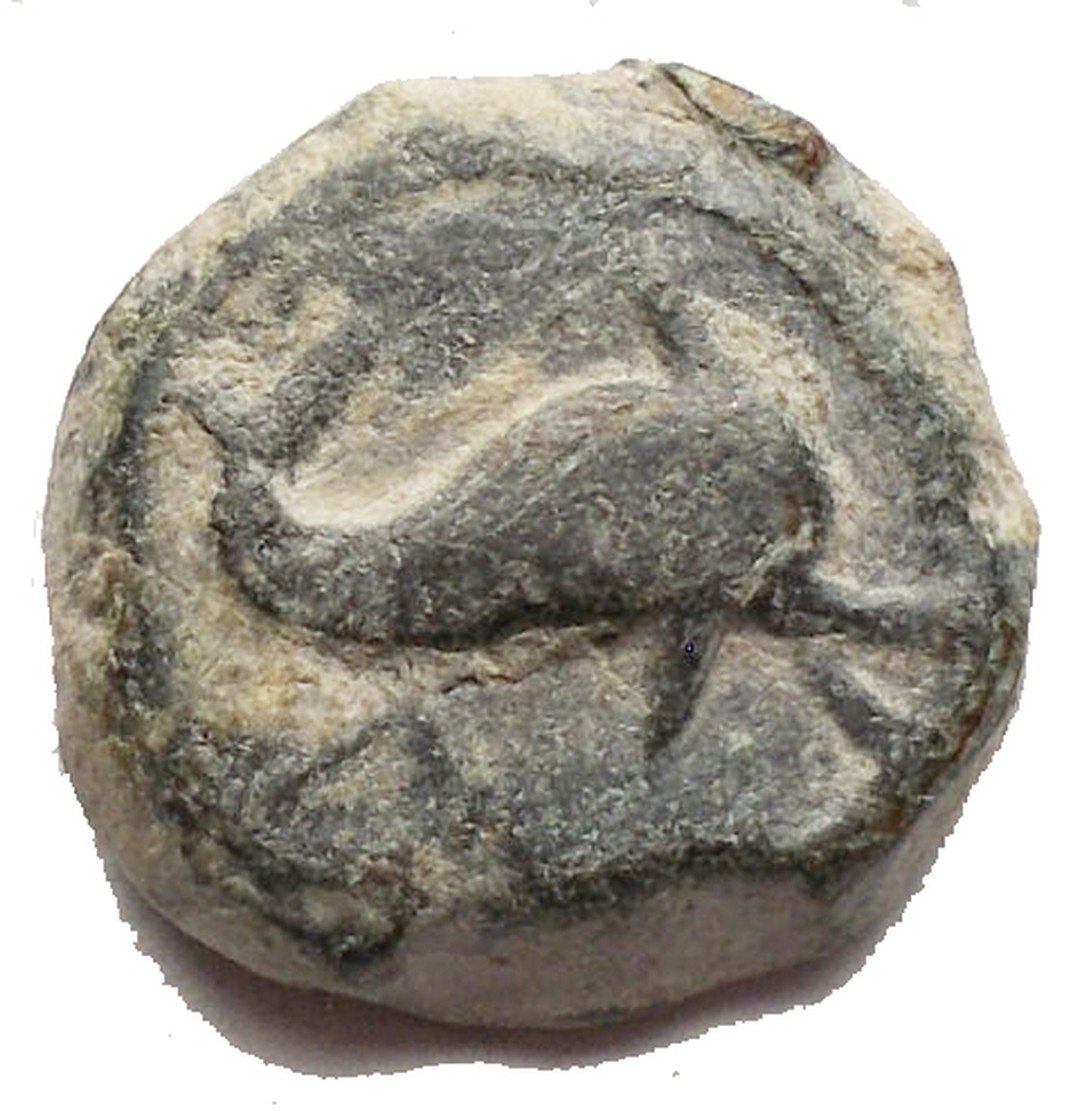 Dritto moneta